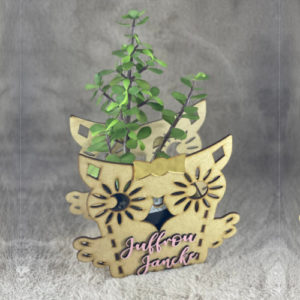 Teacher Desk Planter With Custom Name